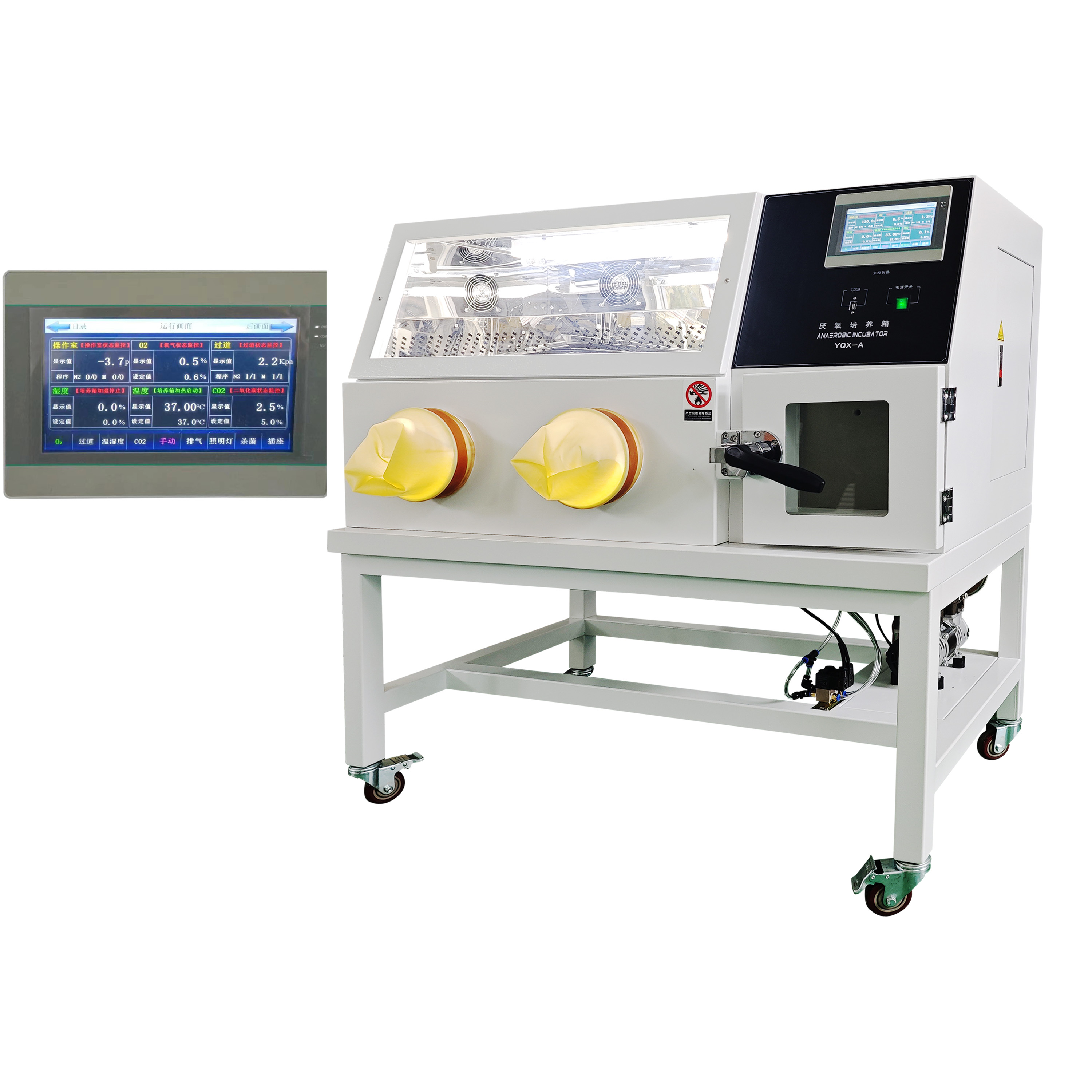 全自動厭氧培養箱YQX-A 氣體自動置換